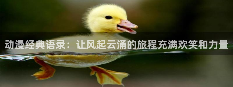 acg动漫搜索
